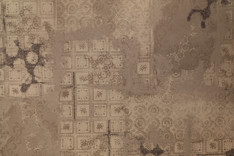 Frühlingsgefühle in Ebikon